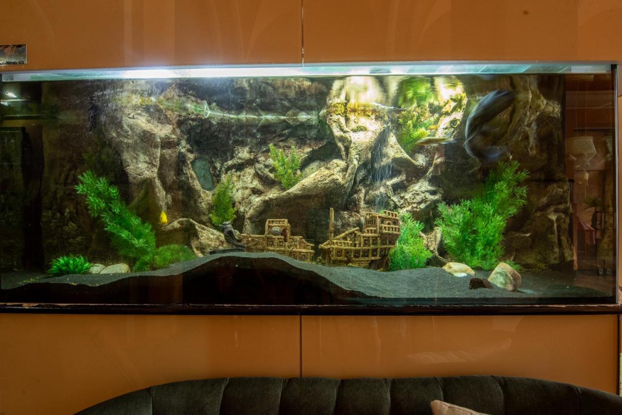 Korona Hotel Ньиредьхаза Экстерьер фото