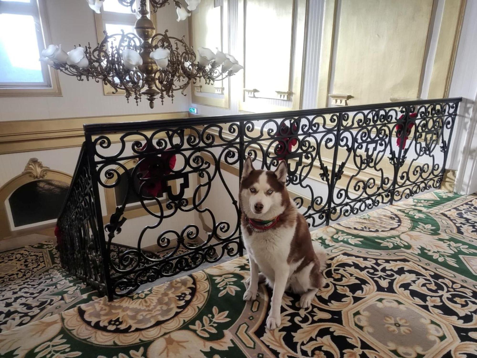 Korona Hotel Ньиредьхаза Экстерьер фото
